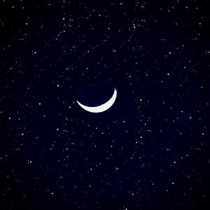 国产精品视频成人
