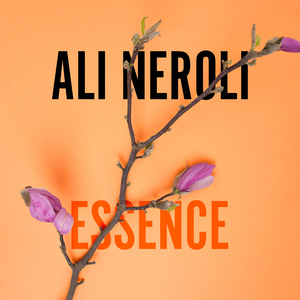 国产精品视频成人
