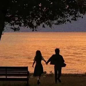 国产精品视频成人
